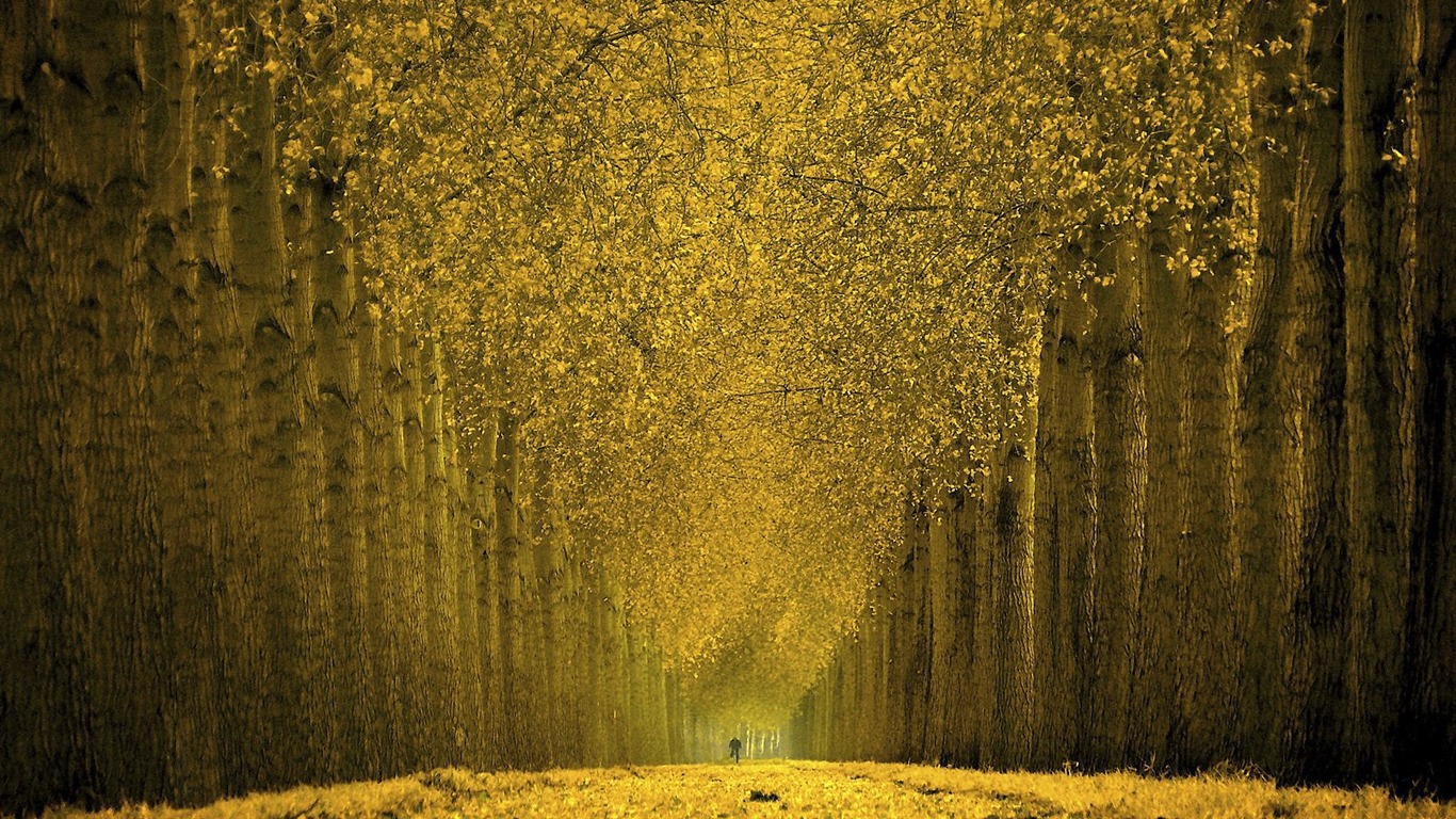 Tapety Krajina Kolekce (13) #15 - 1366x768