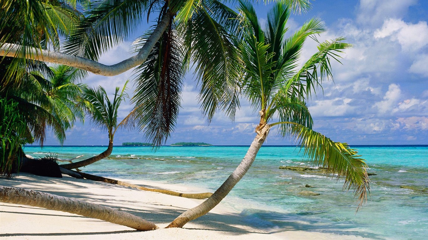 Beach Landschaft Wallpaper (7) #10 - 1366x768