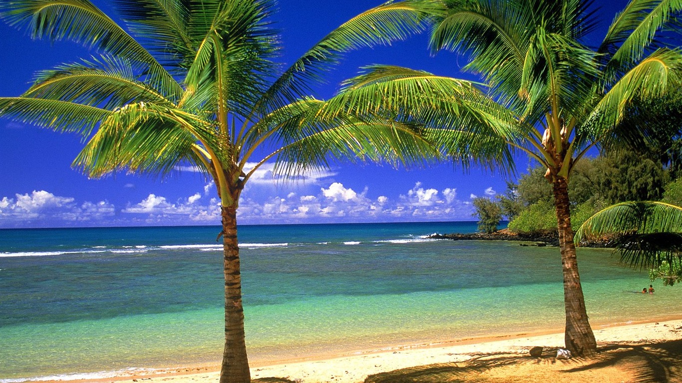 Beach Landschaft Wallpaper (7) #12 - 1366x768