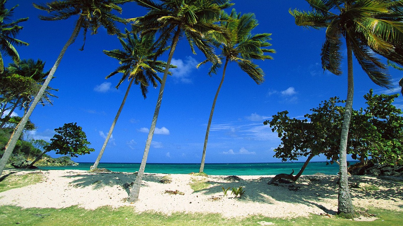 Fonds d'écran paysage de plage (7) #13 - 1366x768