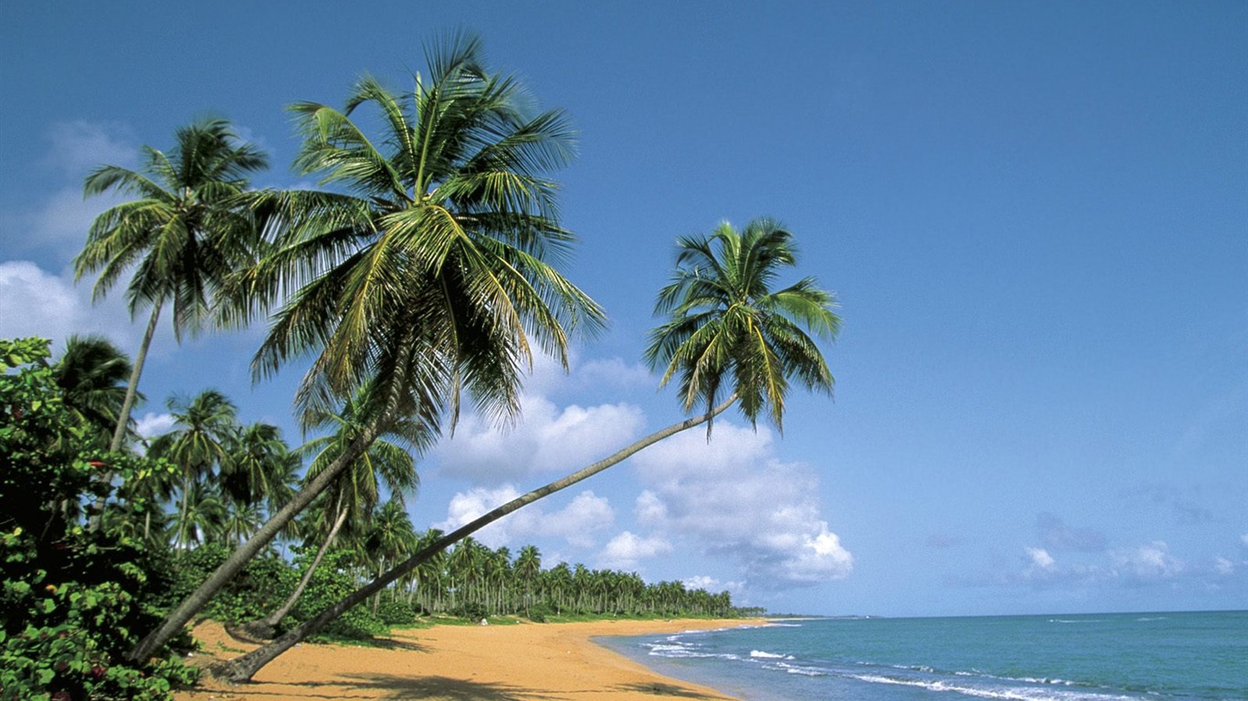 Fonds d'écran paysage de plage (7) #14 - 1366x768