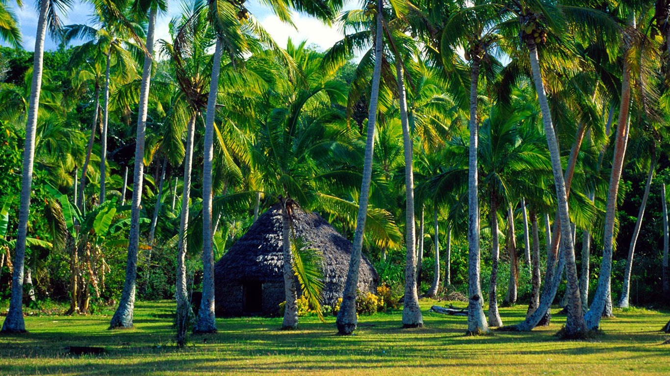 Fonds d'écran paysage de plage (7) #19 - 1366x768