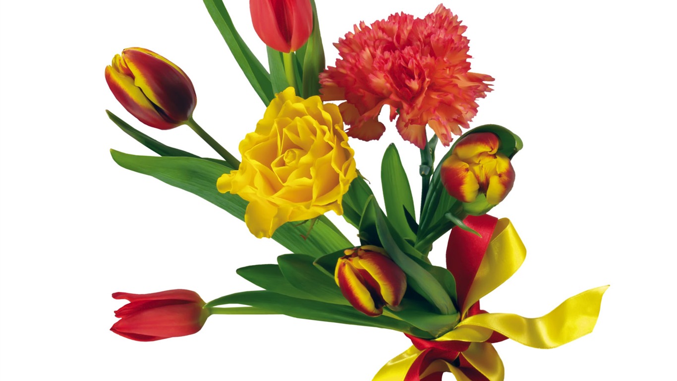 Tulip tapety album (1) #20 - 1366x768