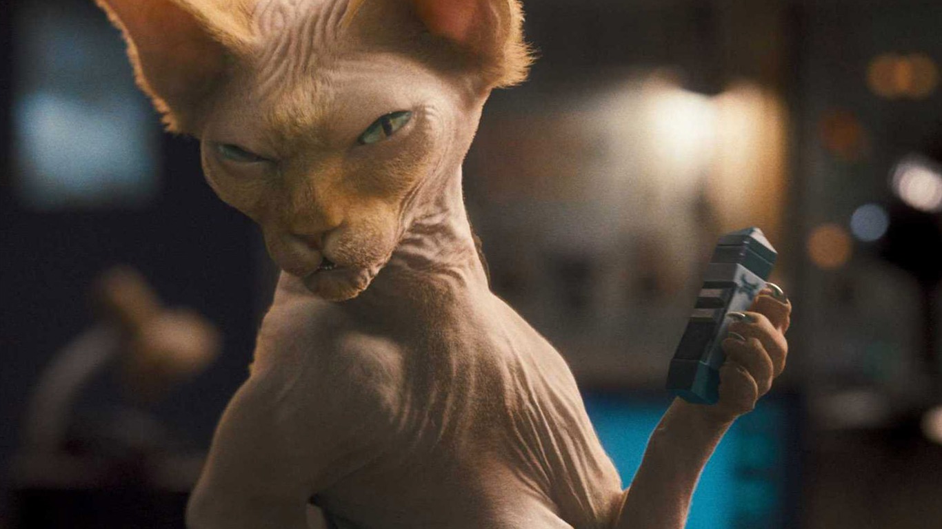 Kočky a psi: Revenge of Kitty Galore #14 - 1366x768