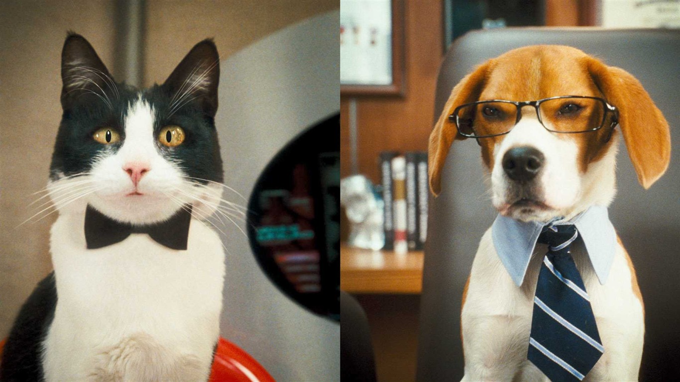Gatos y perros: La Venganza de Kitty Galore fondos de escritorio de alta definición #1 - 1366x768
