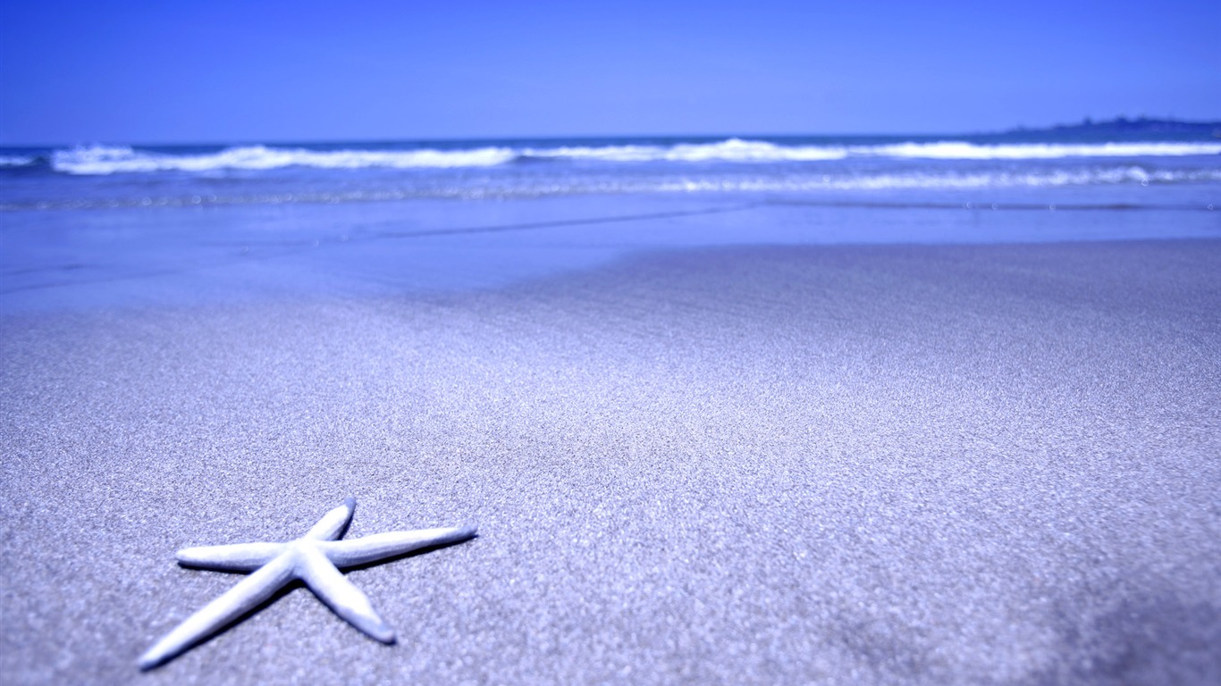 Beach photo wallpaper (1) #15 - 1366x768