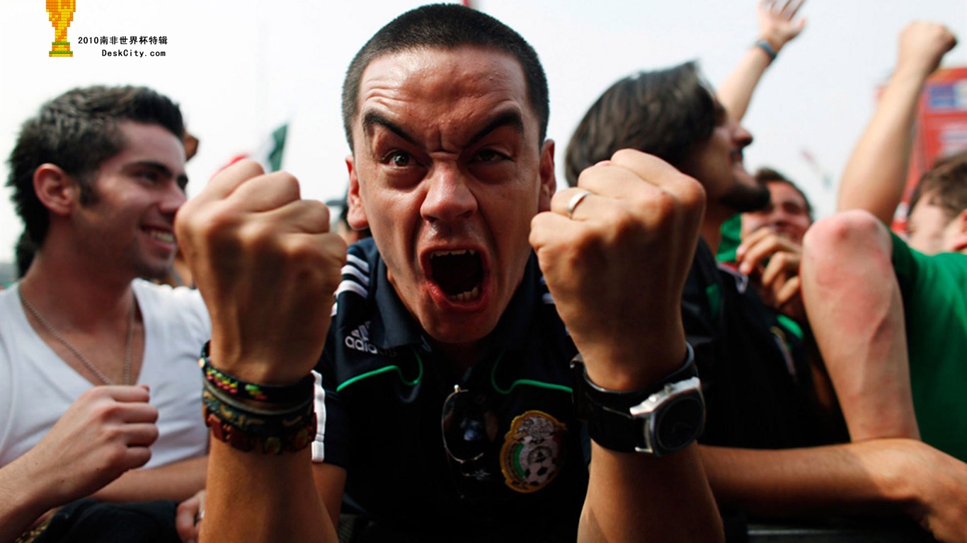 South Africa World Cup series wallpaper (3) #7 - 1366x768