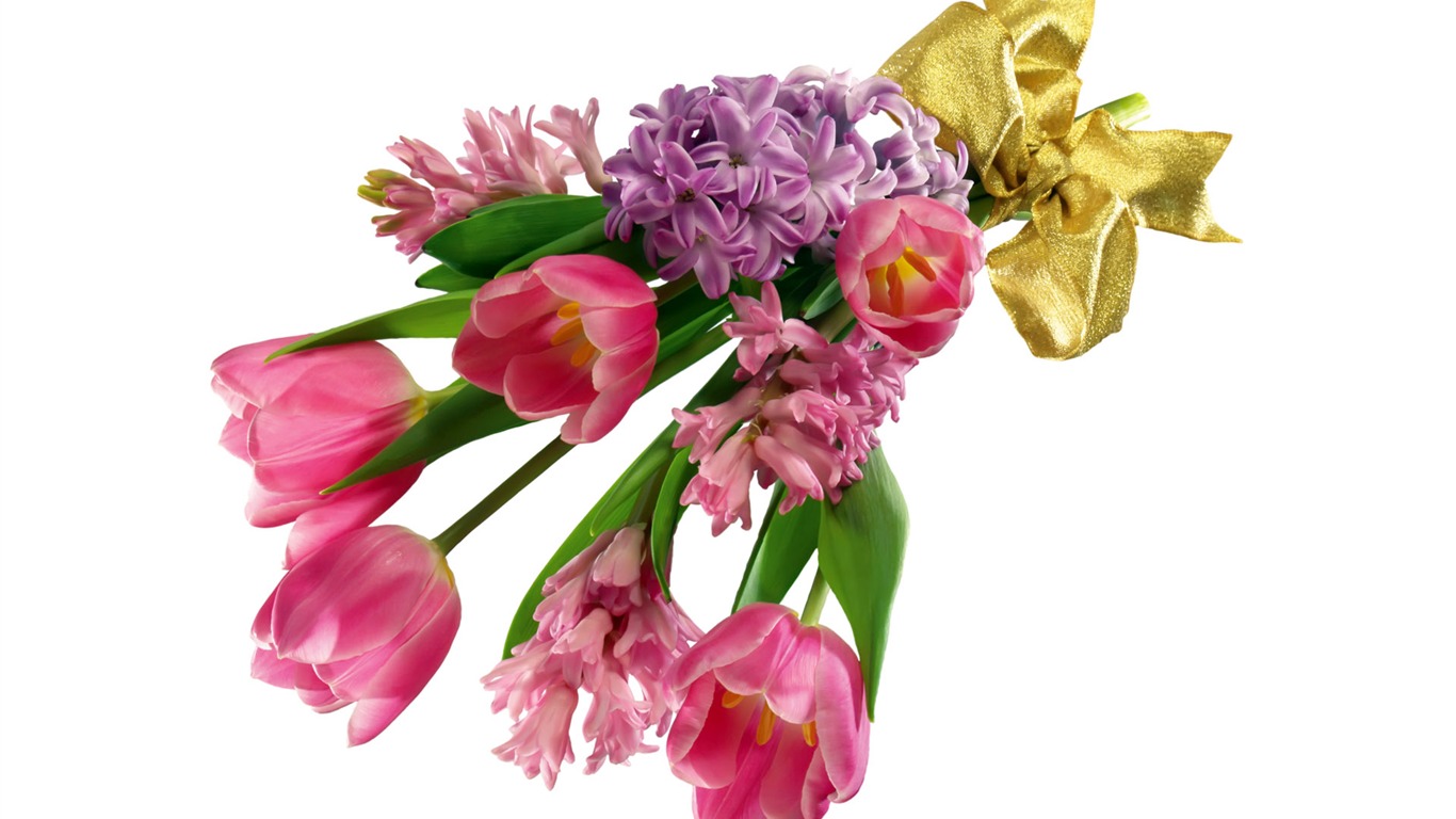 Tulip tapety album (7) #16 - 1366x768