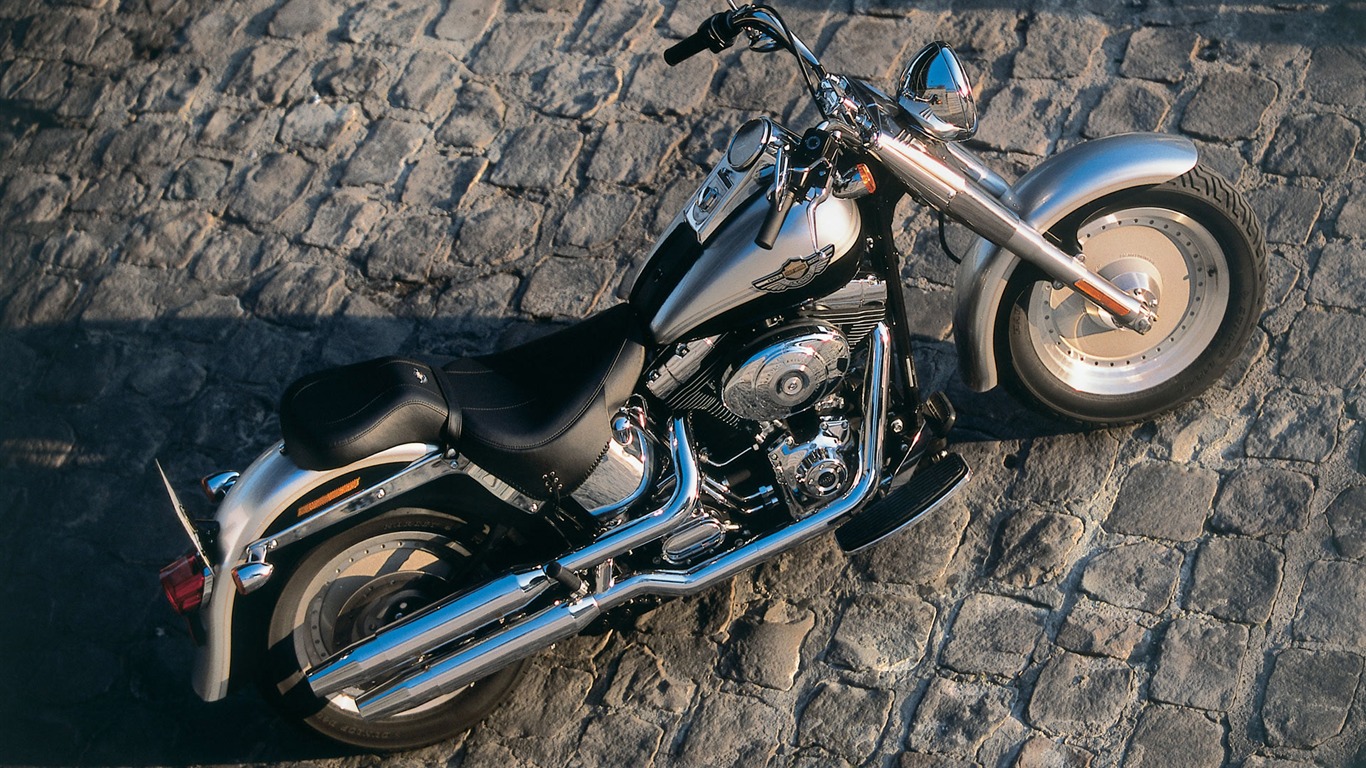 Harley-Davidson Wallpaper Album (2) #17 - 1366x768