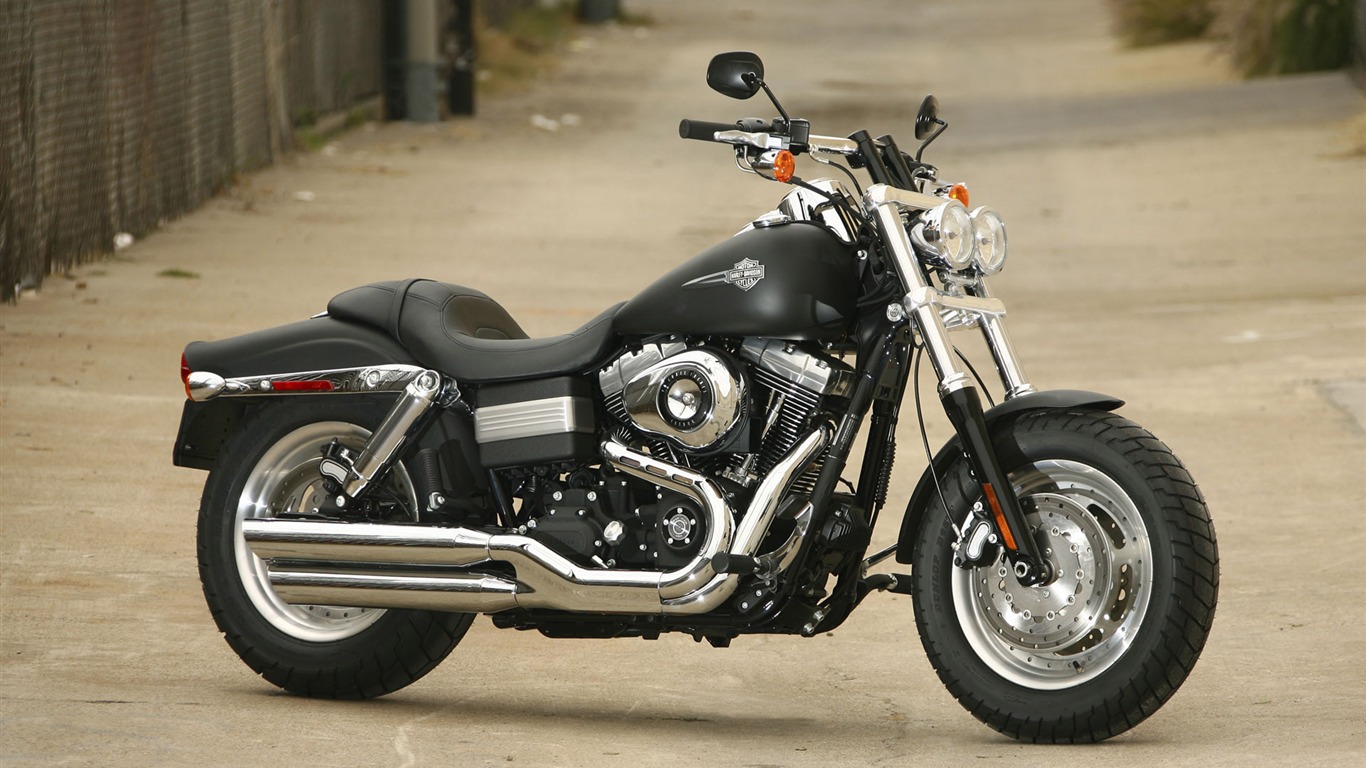Harley-Davidson Wallpaper Album (3) #6 - 1366x768