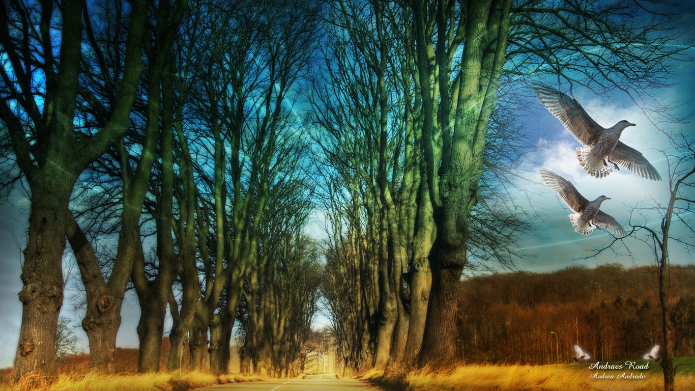Krásně poskytnuté Krajina tapety (9) #5 - 1366x768