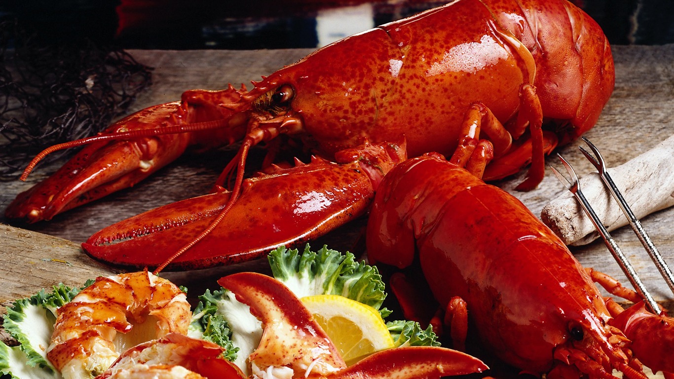 美食大餐 壁纸(四)10 - 1366x768