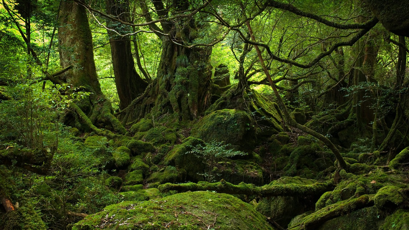 Velké krajiny tapety sbírka (2) #11 - 1366x768