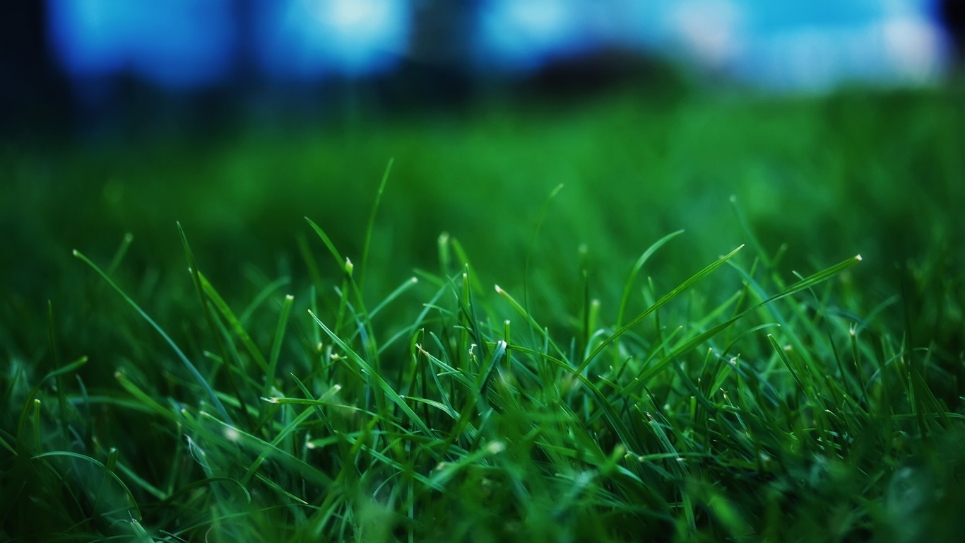 Large Landscape wallpaper collection (3) #20 - 1366x768
