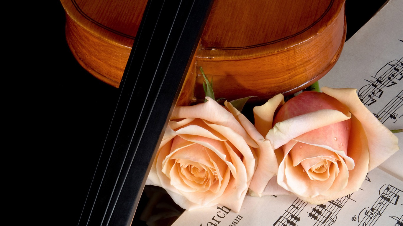 Velké Rose Foto tapety (5) #3 - 1366x768