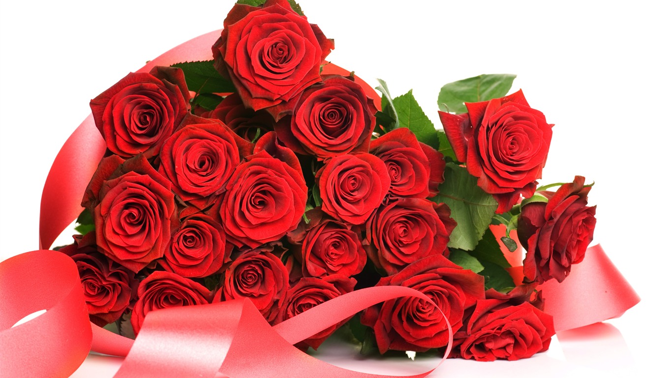 Velké Rose Foto tapety (5) #17 - 1366x768