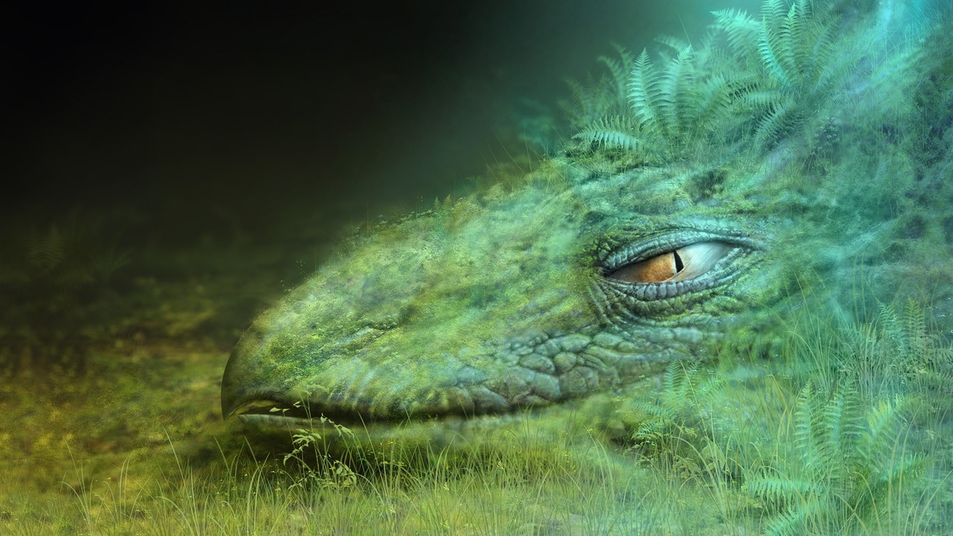 動物寬屏壁紙合集 (12) #19 - 1366x768