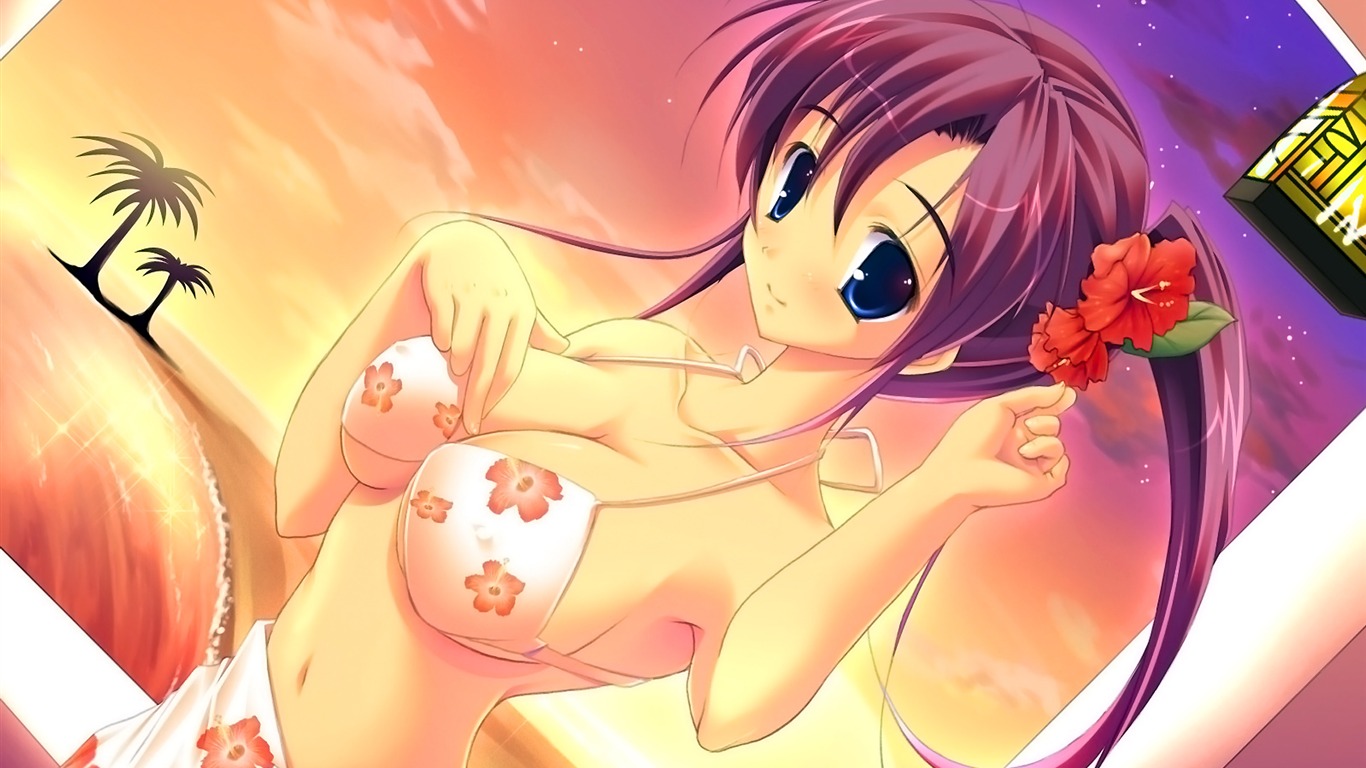 動漫人物 壁紙(29) #12 - 1366x768
