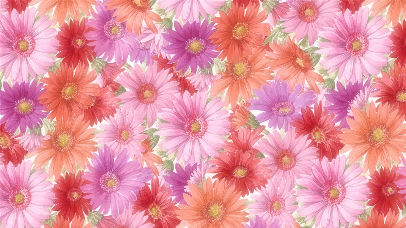 와이드 스크린 벽지의 꽃 가까이에서 (13)까지 #7 - 1366x768