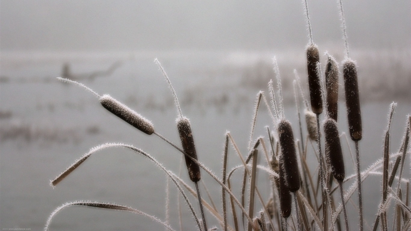 경관 콜렉션 벽지 (23) #4 - 1366x768