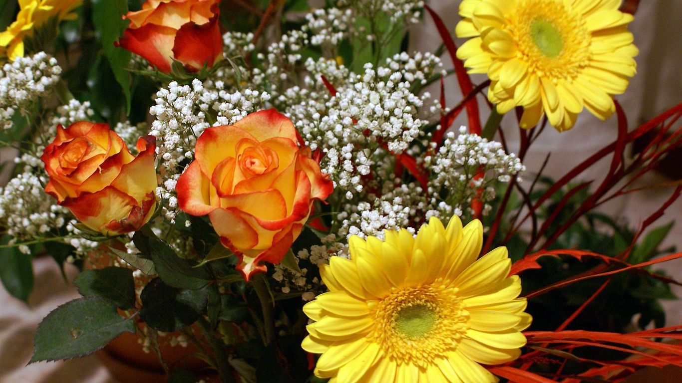 Widescreen wallpaper flowers close-up (18) #17 - 1366x768