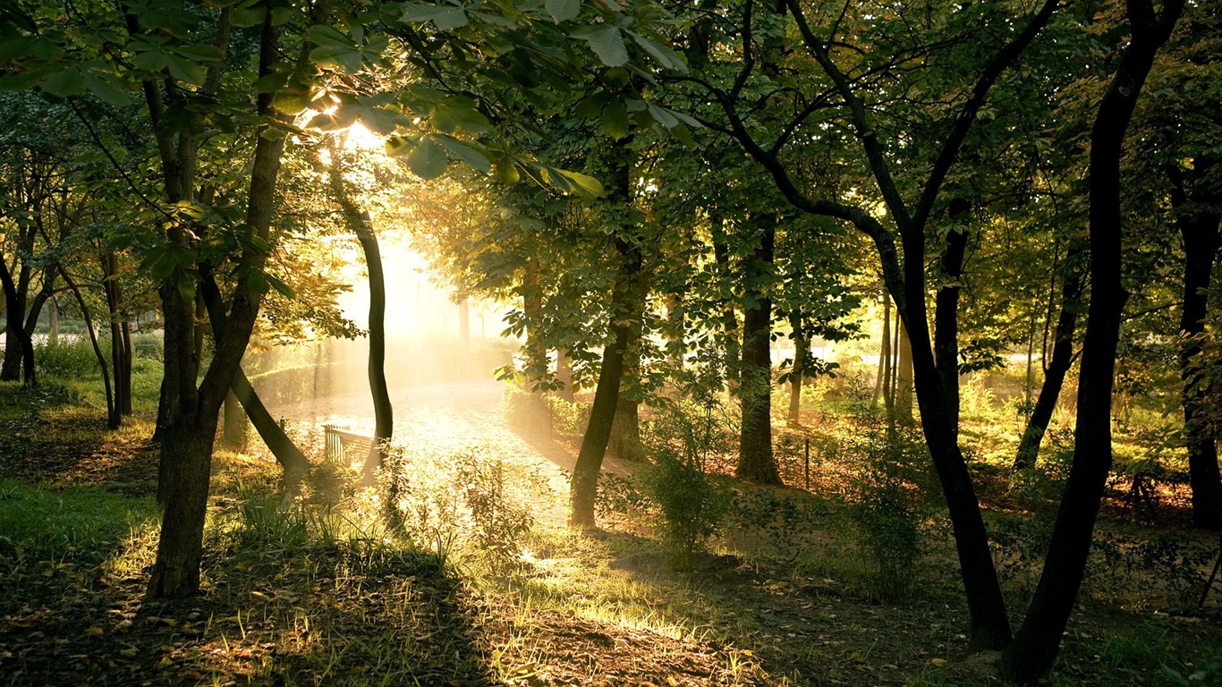 Tapety Krajina Kolekce (27) #10 - 1366x768