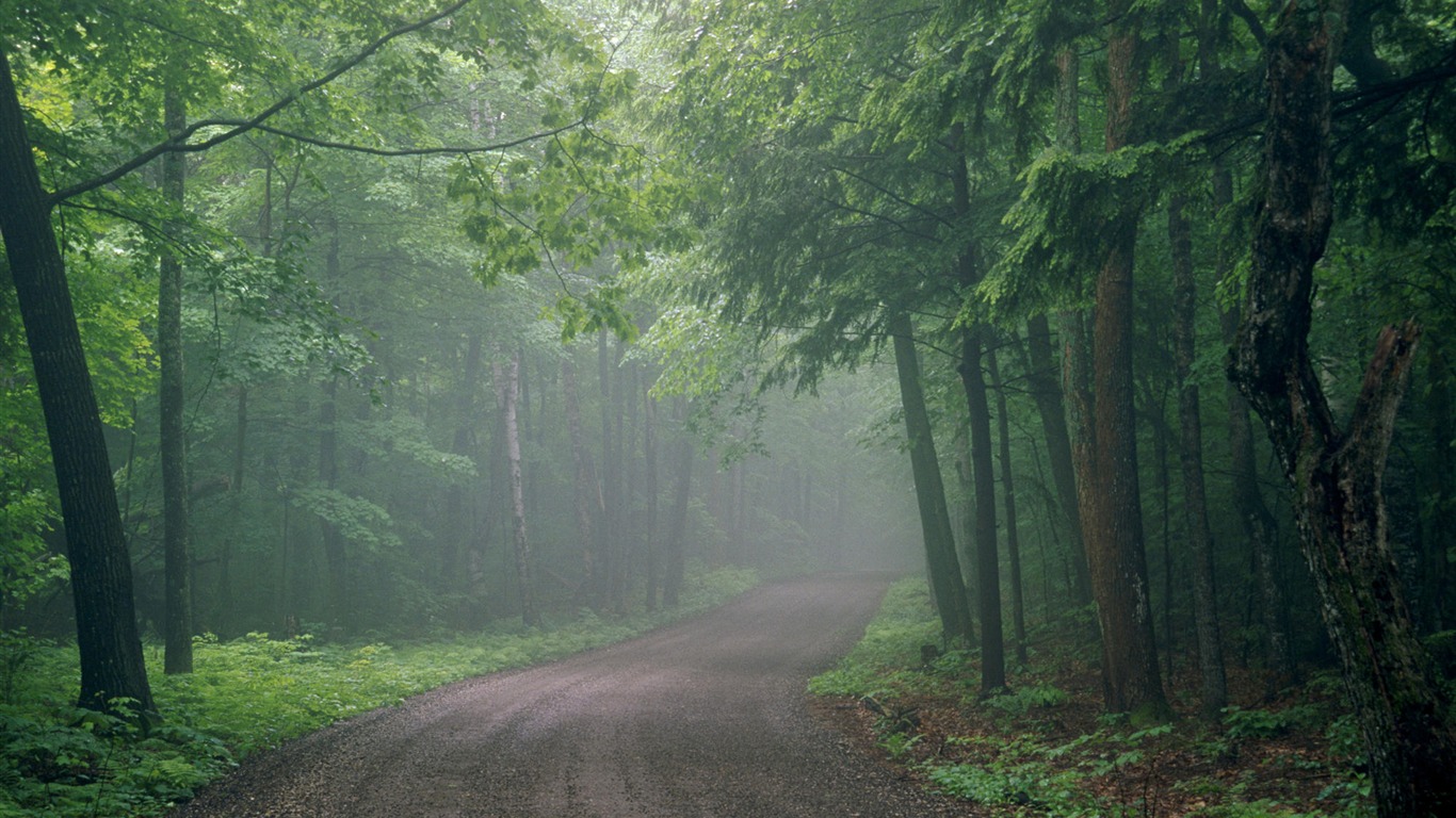 Tapety Krajina Kolekce (27) #19 - 1366x768