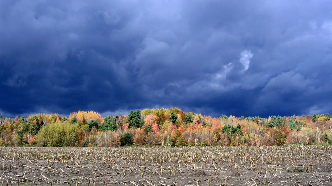 Tapety Krajina Kolekce (29) #20 - 1366x768