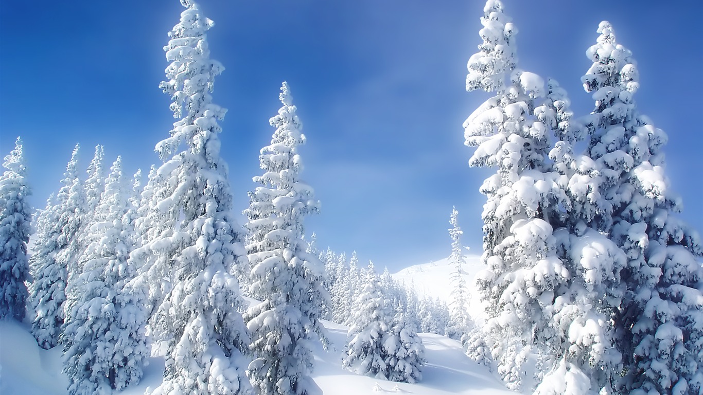 Tapety Krajina Kolekce (30) #19 - 1366x768