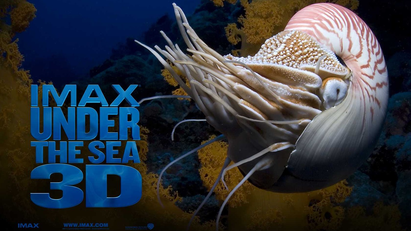 Under the Sea 3D 海底世界3D 高清壁紙 #49 - 1366x768