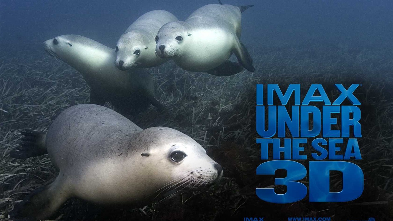Under the Sea 3D 海底世界3D 高清壁紙 #51 - 1366x768