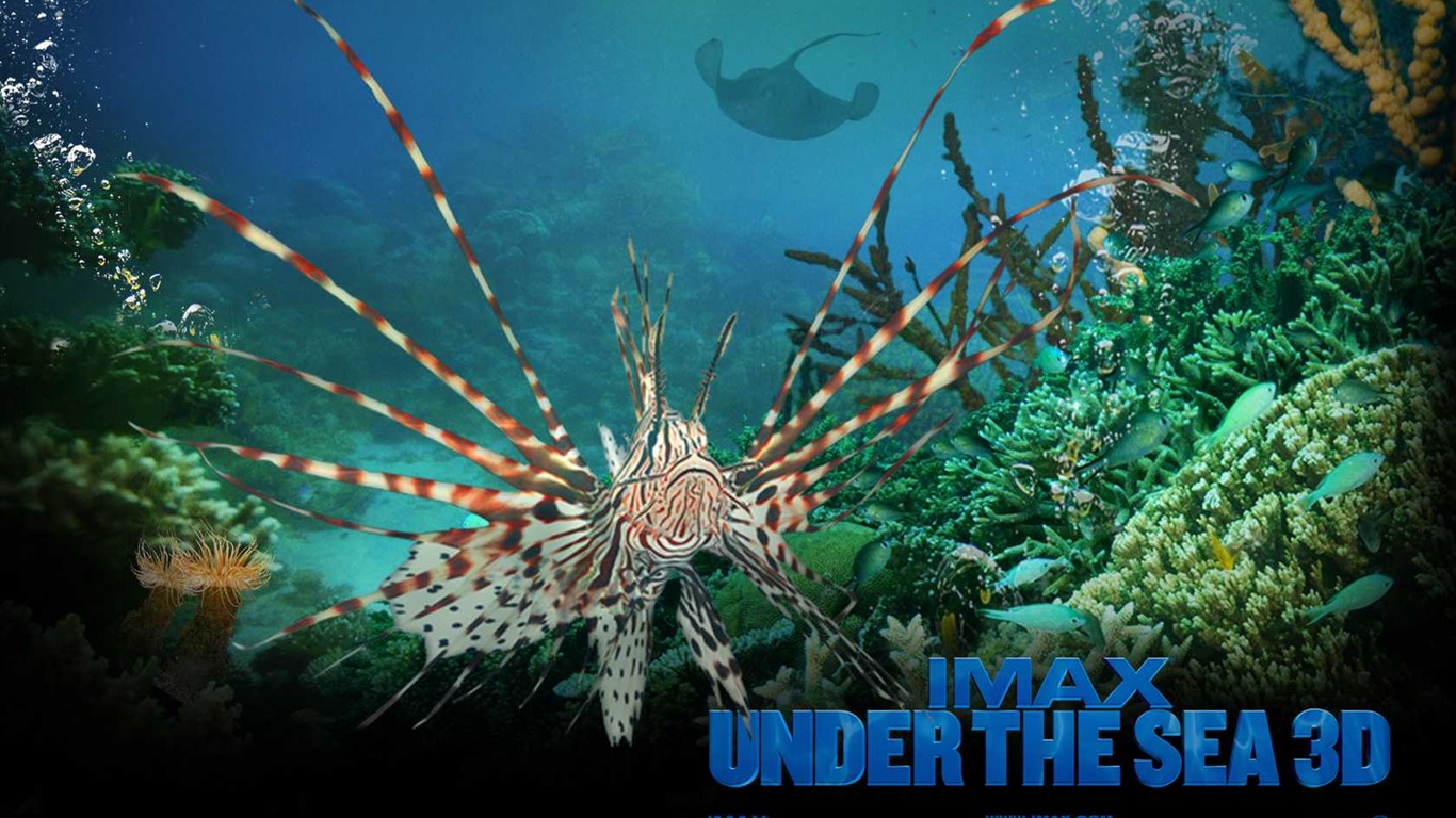 Under the Sea 3D 海底世界3D 高清壁紙 #1 - 1366x768