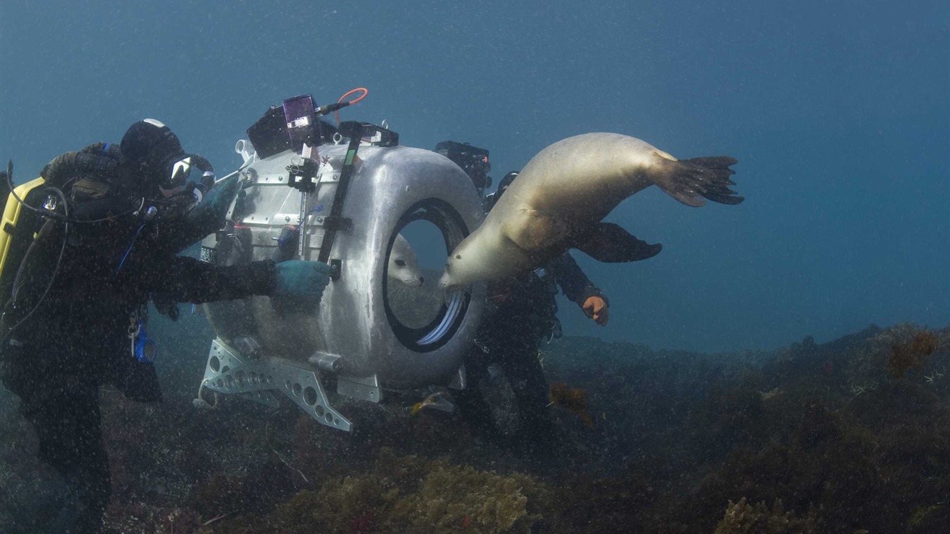 Under the Sea 3D 海底世界3D 高清壁紙 #3 - 1366x768