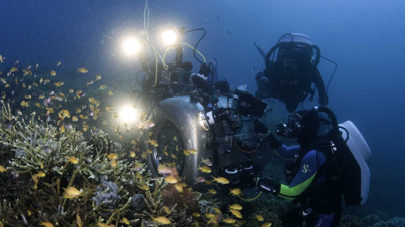 Under the Sea 3D 海底世界3D 高清壁紙 #12 - 1366x768
