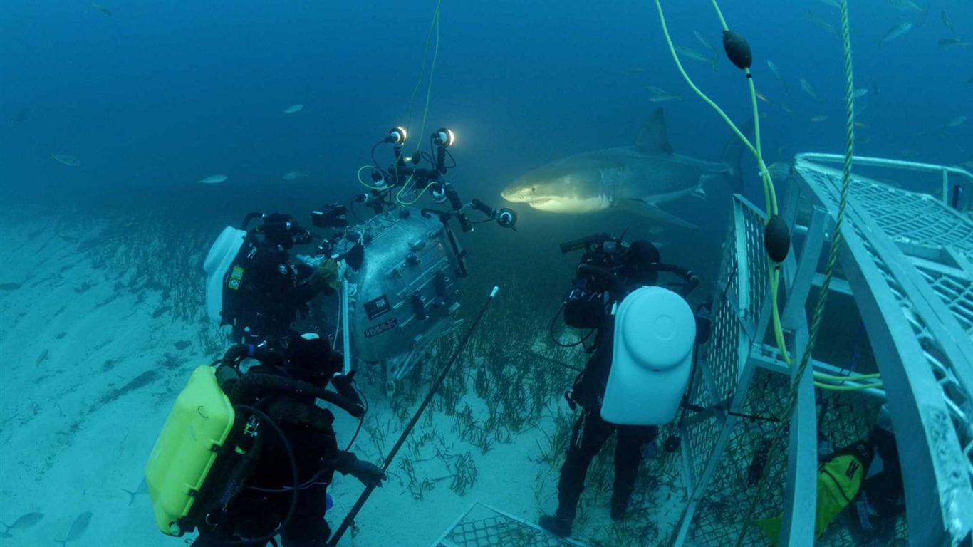Under the Sea 3D 海底世界3D 高清壁紙 #37 - 1366x768