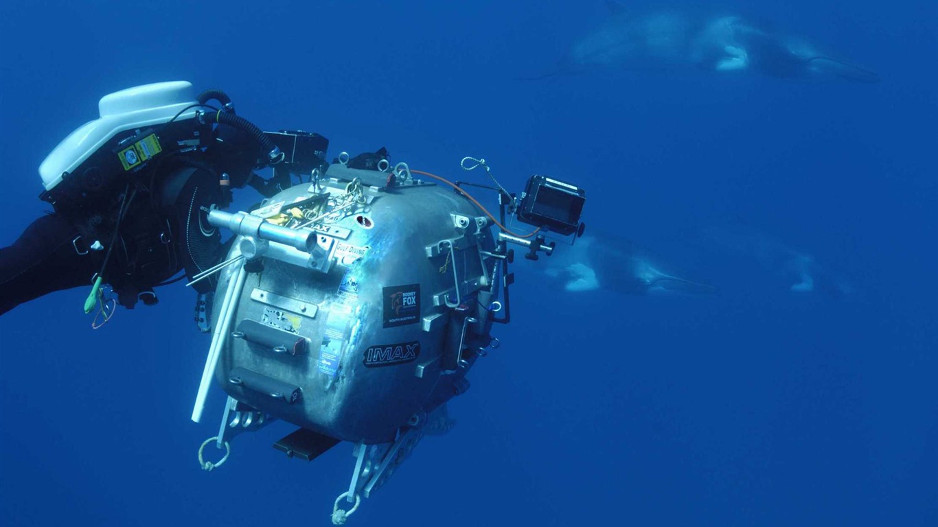 Under the Sea 3D 海底世界3D 高清壁紙 #42 - 1366x768