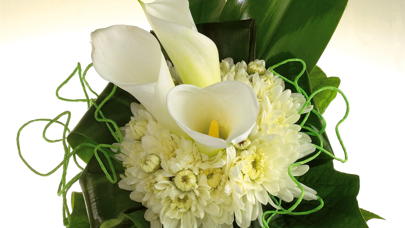 Svatby a květiny tapety (2) #6 - 1366x768