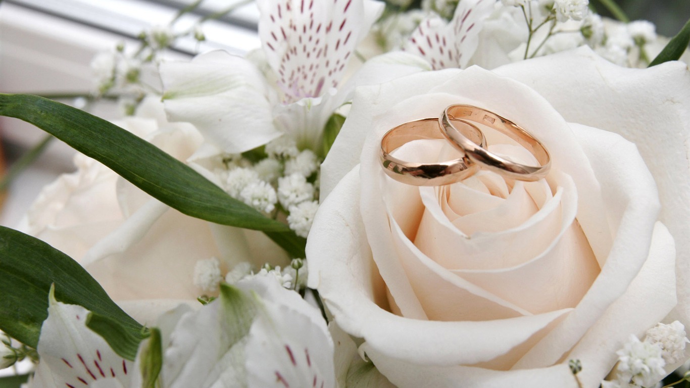 Svatby a svatební prsten tapety (1) #2 - 1366x768