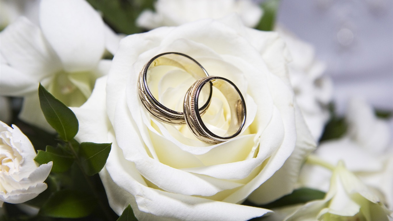 Svatby a svatební prsten tapety (1) #3 - 1366x768
