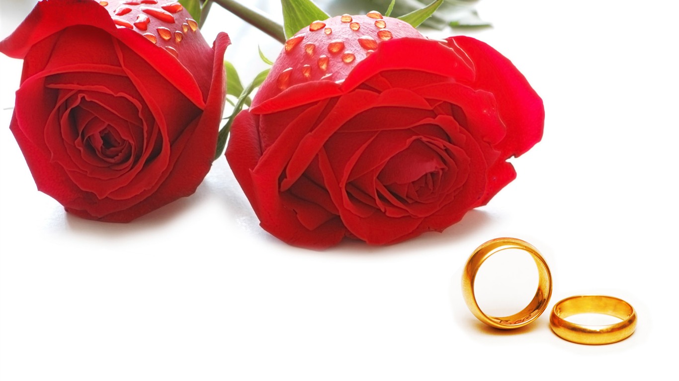 Weddings and wedding ring wallpaper (1) #12 - 1366x768