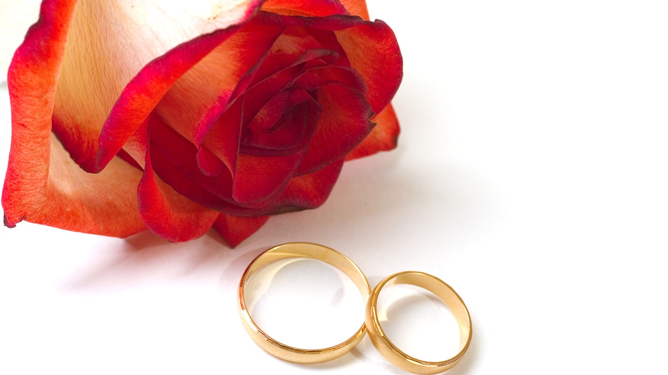 Svatby a svatební prsten tapety (2) #6 - 1366x768