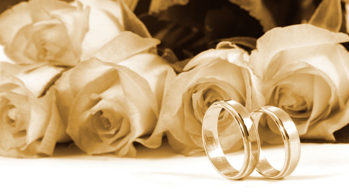 Hochzeiten und Ehering Wallpaper (2) #9 - 1366x768