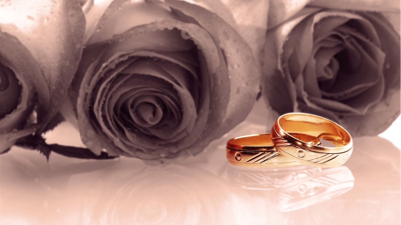 Свадьбы и свадебные кольца обои (2) #10 - 1366x768