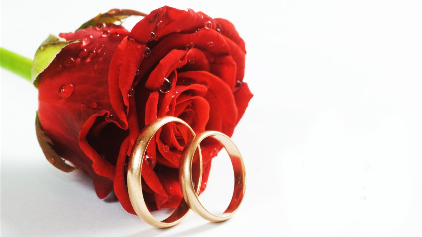Mariage et papier peint anneau de mariage (2) #11 - 1366x768