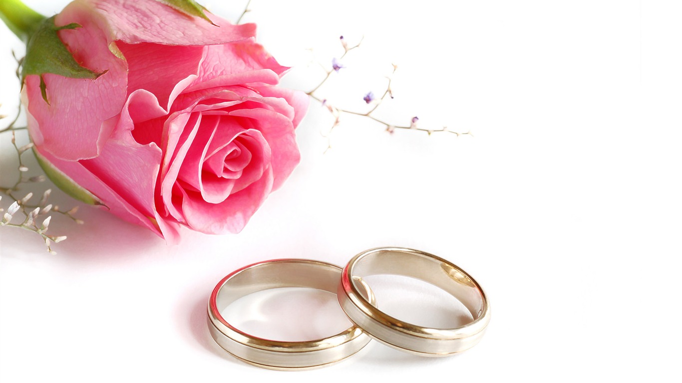 Weddings and wedding ring wallpaper (2) #12 - 1366x768