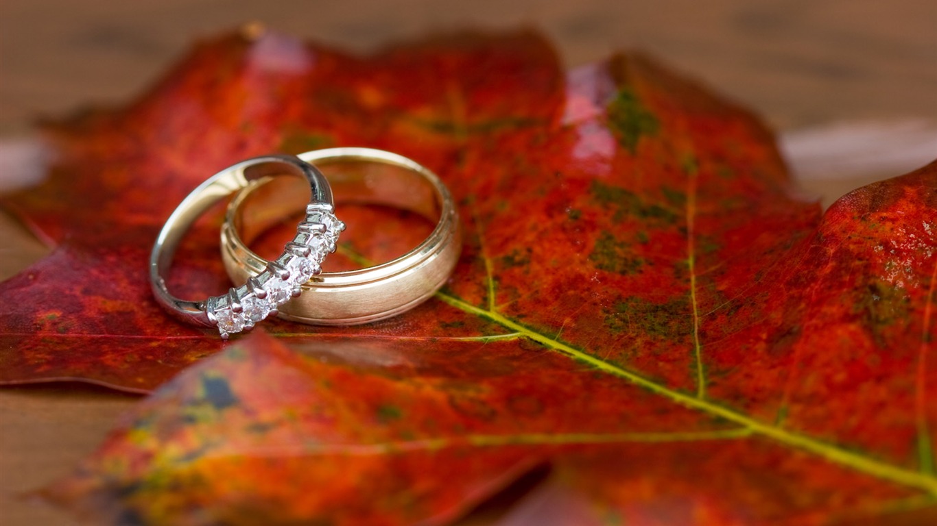 Weddings and wedding ring wallpaper (2) #16 - 1366x768