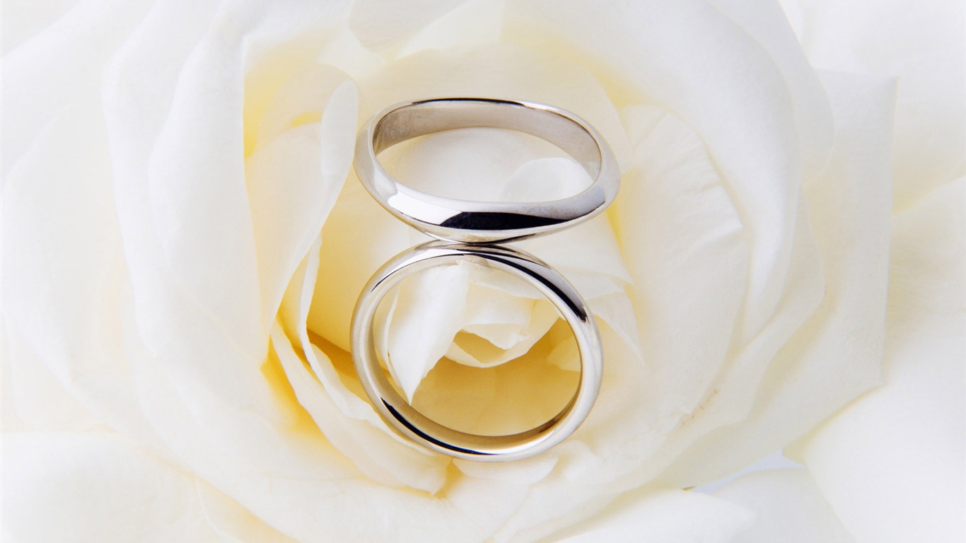 Svatby a svatební prsten tapety (2) #18 - 1366x768
