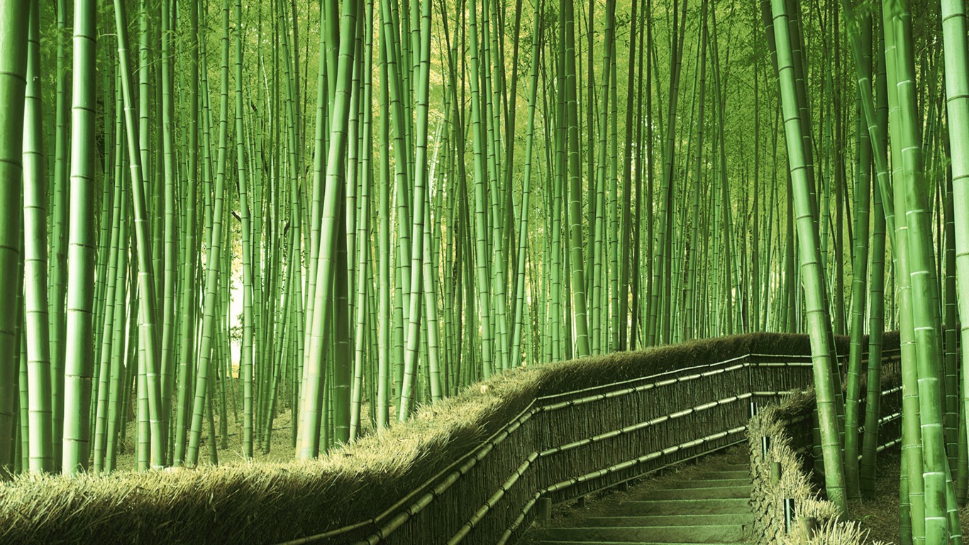 風光合集壁紙(41) #18 - 1366x768