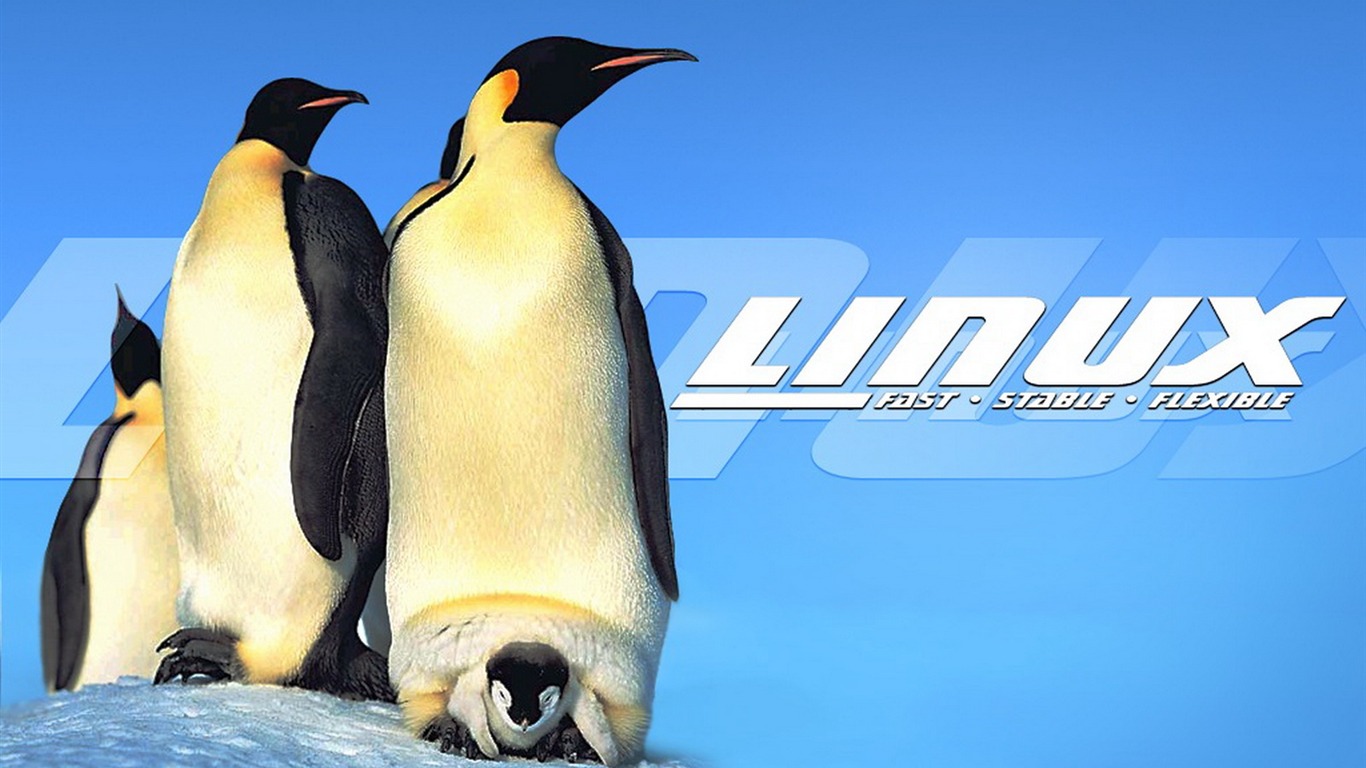 Linux tapety (1) #20 - 1366x768