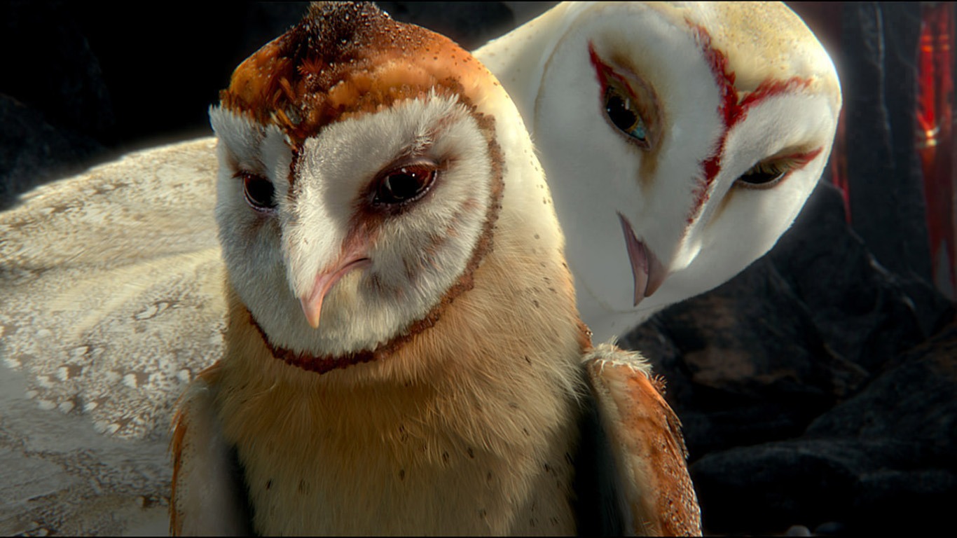 Legend of the Guardians: The Owls of Ga'Hoole 守卫者传奇(二)1 - 1366x768